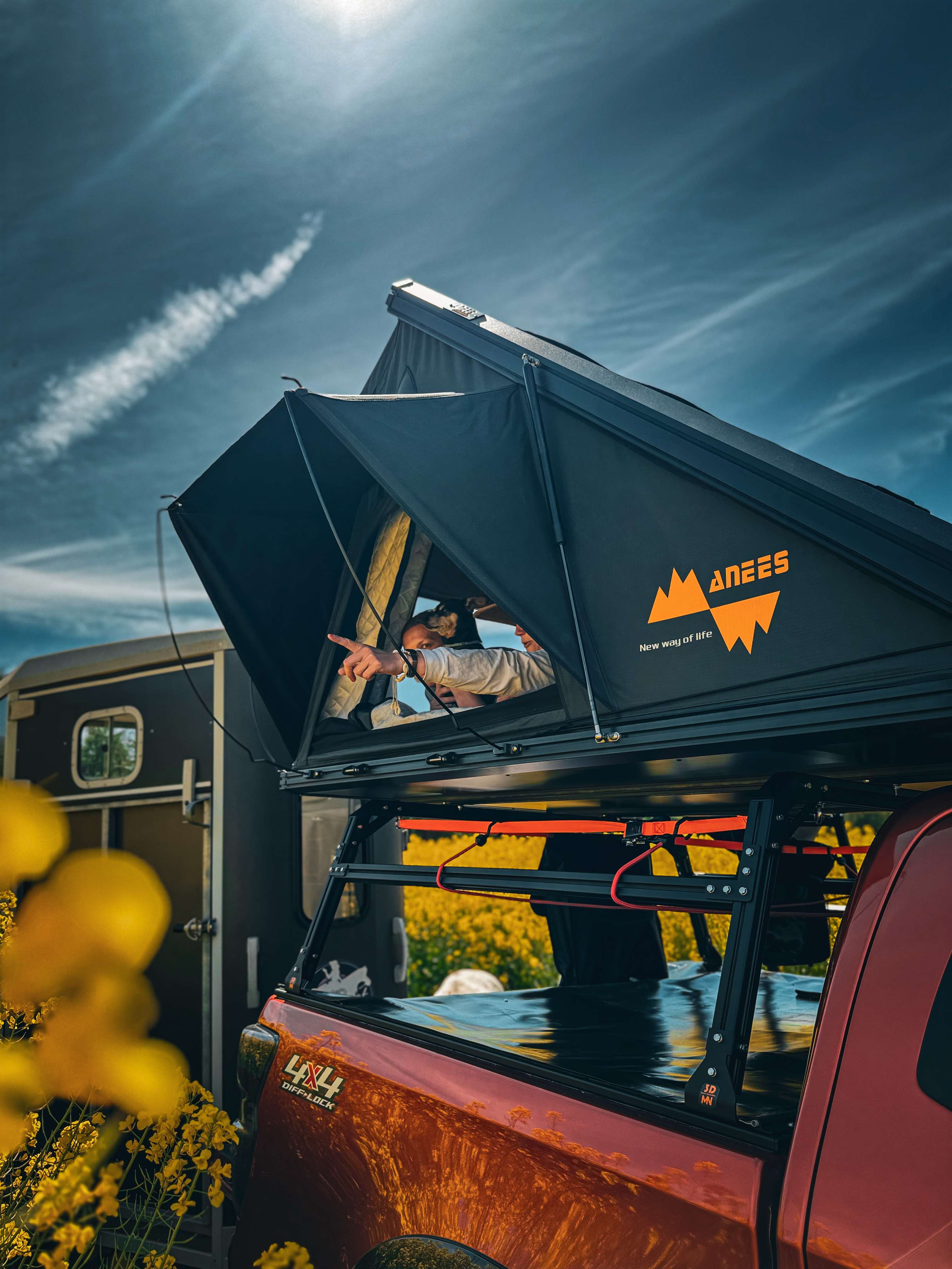Wohnmobil steht auf einer Wiese am Waldrand unter blauem Himmel.