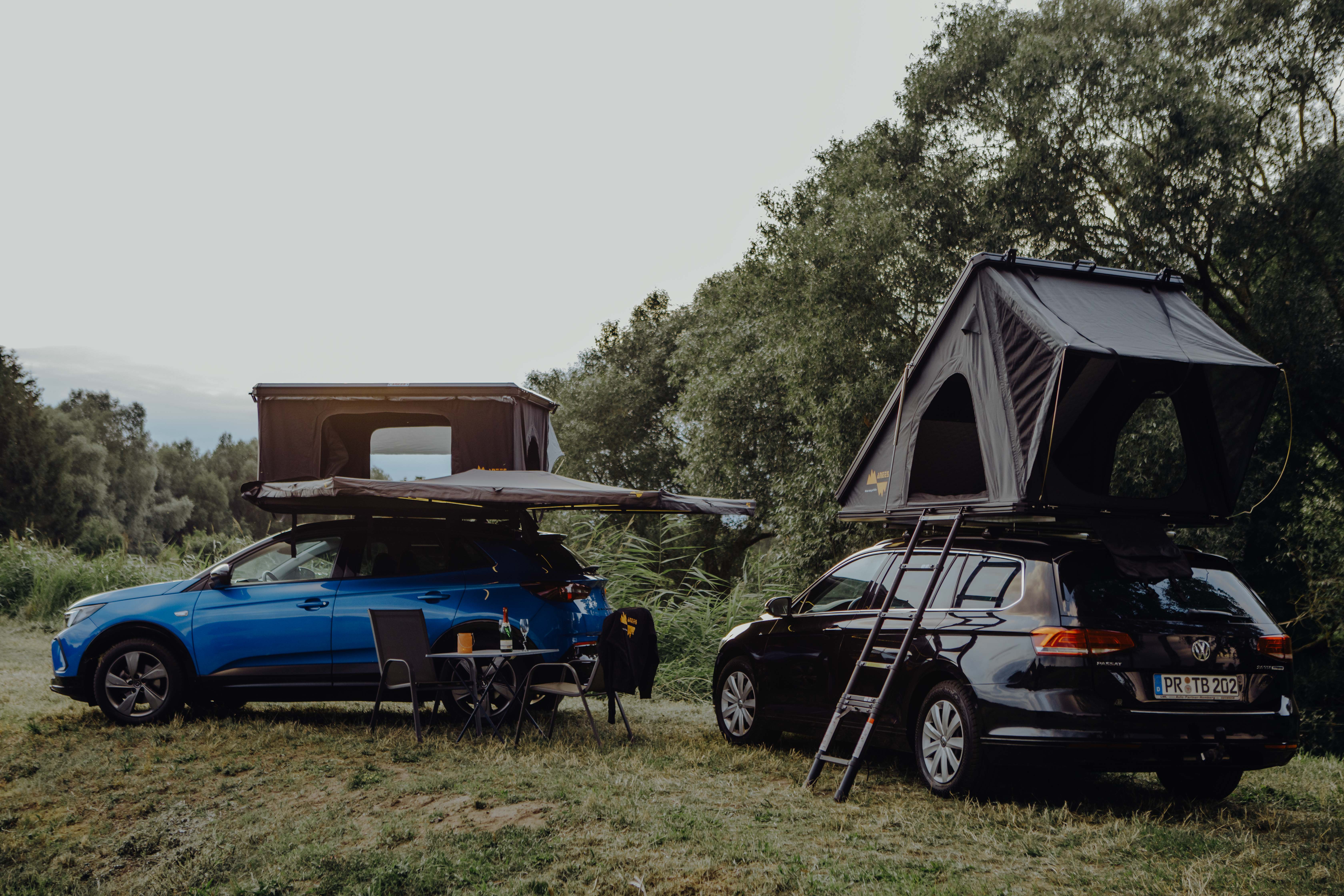 Zwei Autos mit Dachzelten und Markise auf grünem Campingplatz zwischen Bäumen
