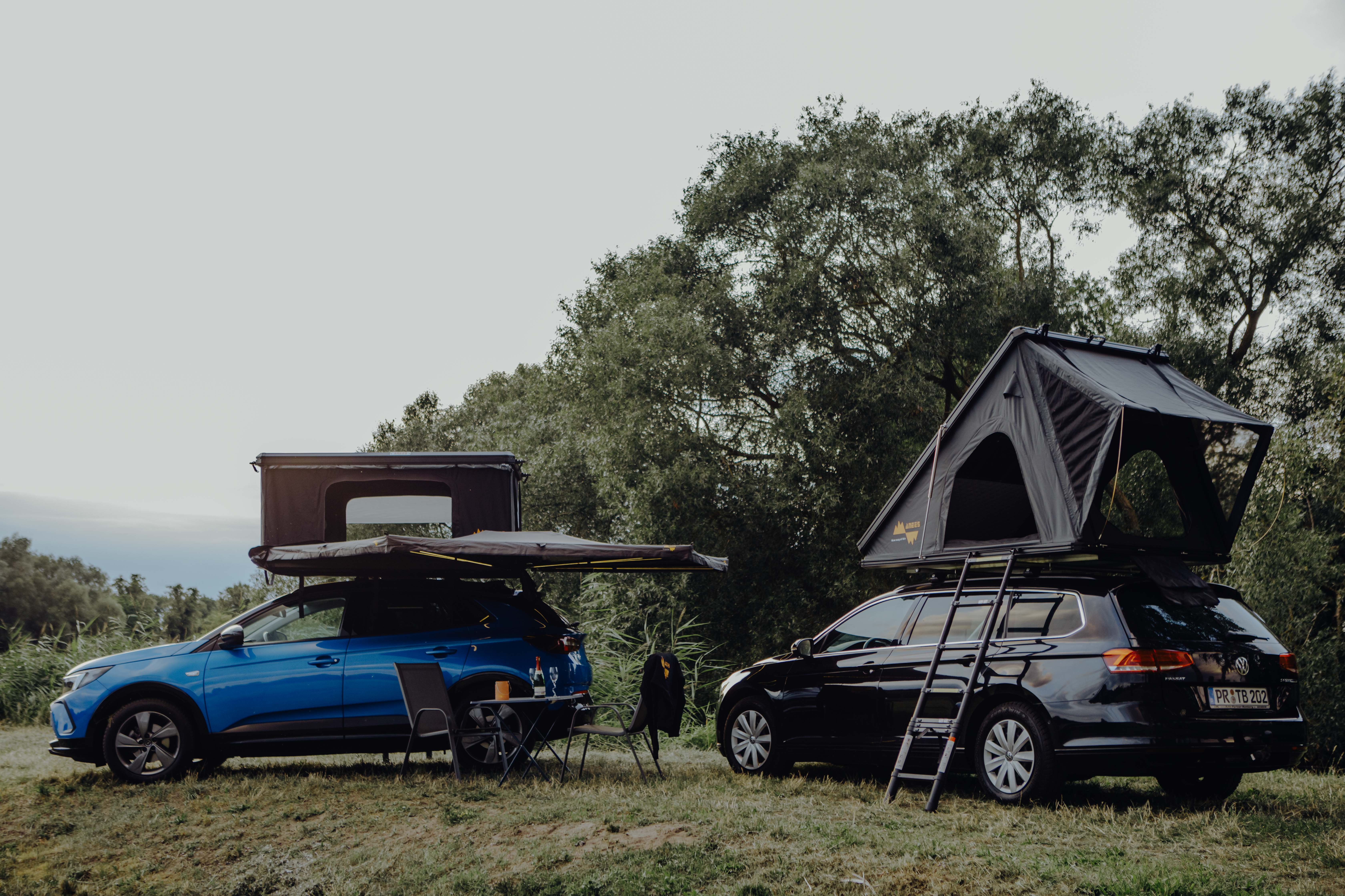 Zwei Autos mit aufgeklappten Dachzelten und Markise stehen auf einer Wiese zwischen Bäumen.