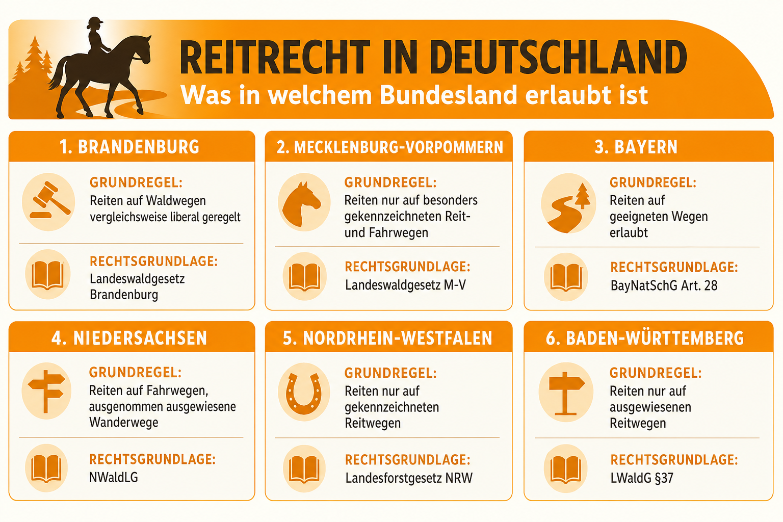 Infografik: Reitrecht in Deutschland: Was in welchem Bundesland erlaubt ist Bundesland: Brandenburg | Grundregel: Reiten auf Waldweg...